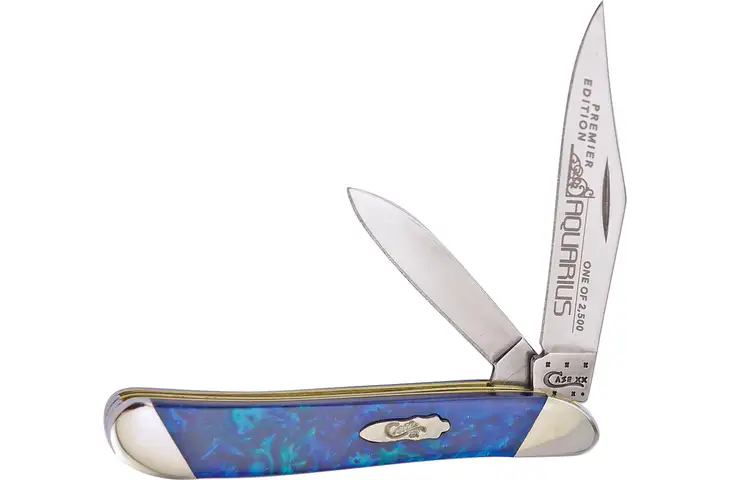 Case Peanut Aquarius Folding Knife