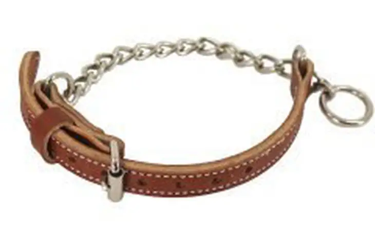 DeSantis K-9 Training Collar